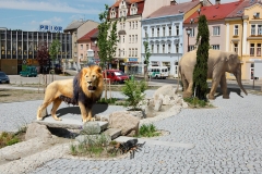 Petr Veselý - fotomanipulace -Zoo Aš - 1.roč.